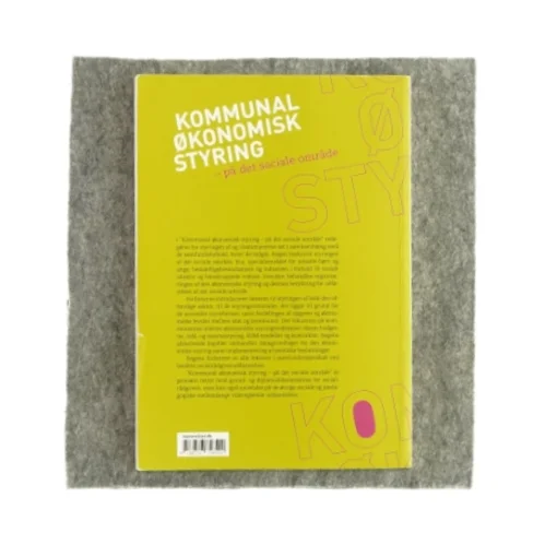 Kommunal økonomisk styring - på det sociale område (bog)