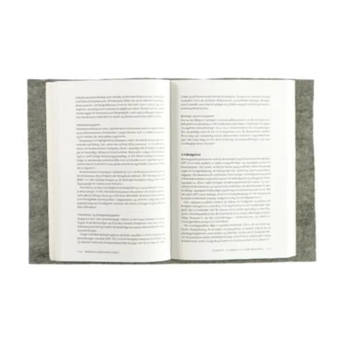 Kommunal økonomisk styring - på det sociale område (bog)