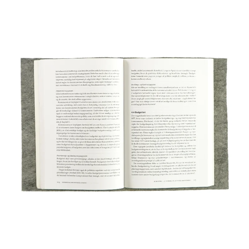 Kommunal økonomisk styring - på det sociale område (bog)