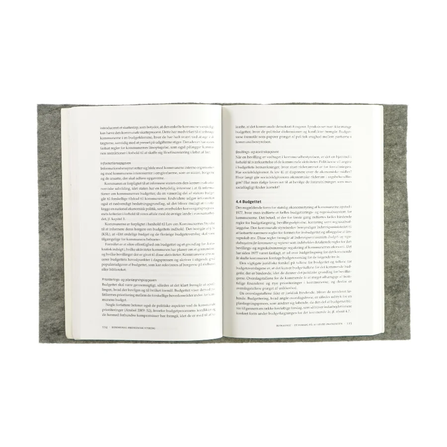 Kommunal økonomisk styring - på det sociale område (bog)