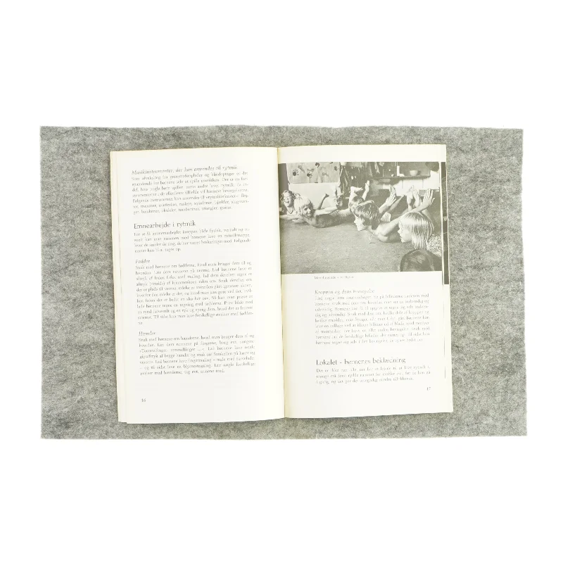 Rytmik og bevægelse for småbørn (bog)