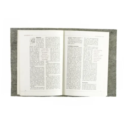 Specialpædagogik (bog)