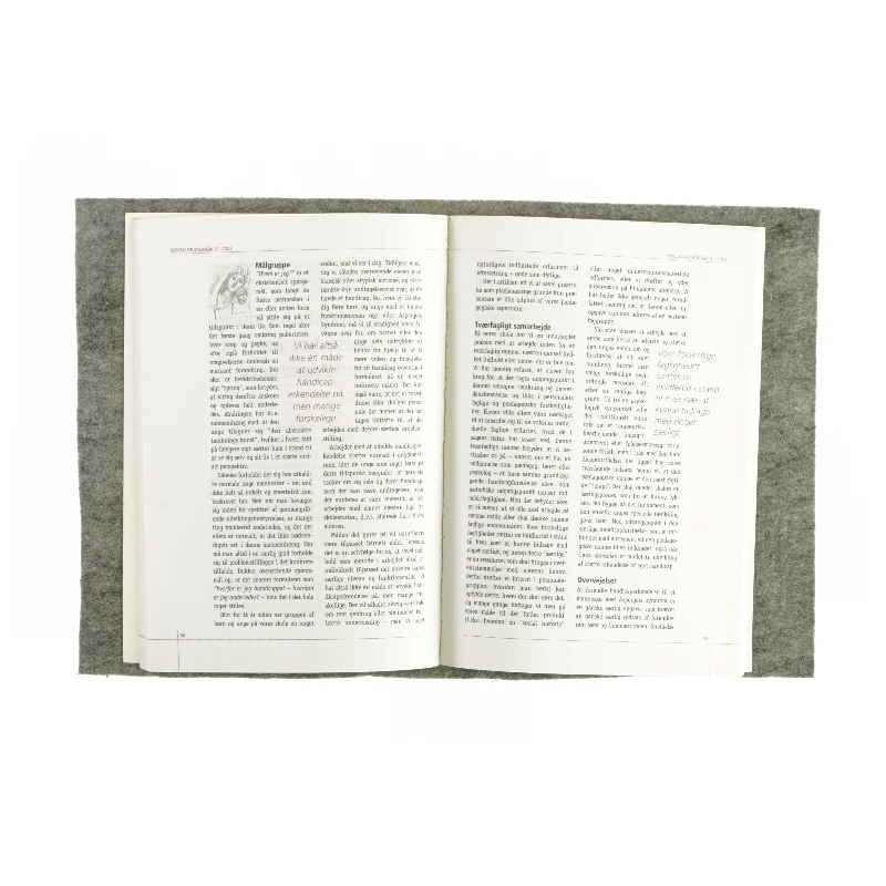 Specialpædagogik (bog)