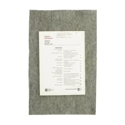 Specialpædagogik (bog)