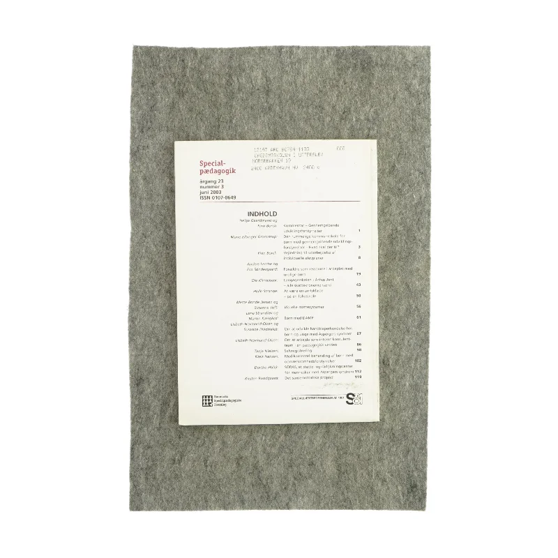 Specialpædagogik (bog)