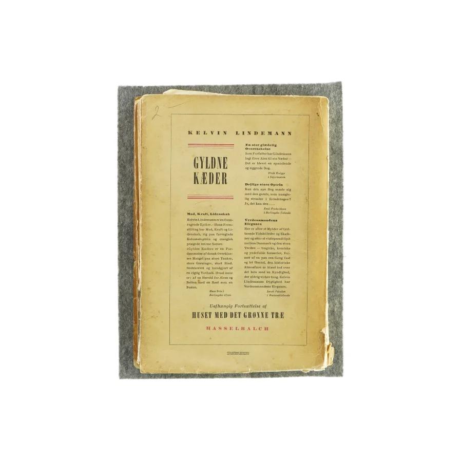 Gyldne kæder af Kelvin Lindemann (Bog)