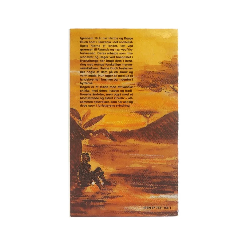 Kong Rumanyikas regn af Hanne Buch (bog)