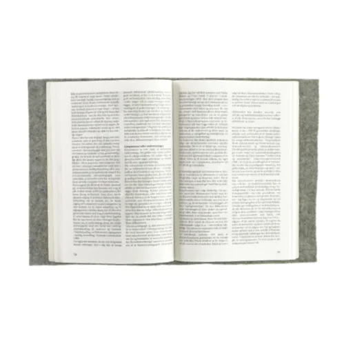 Den nye lærer af Mogens Skov (Bog)