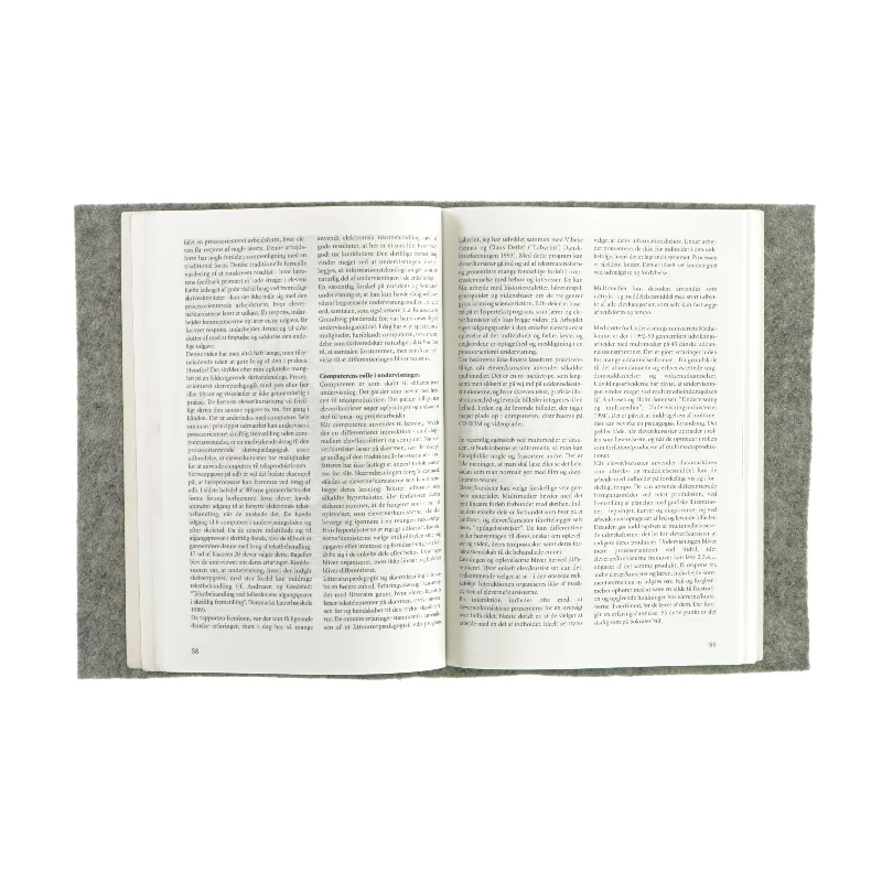 Den nye lærer af Mogens Skov (Bog)