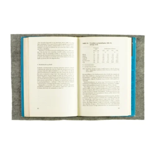 Inflation og arbejdsløshed i det moderne samfund (bog) 