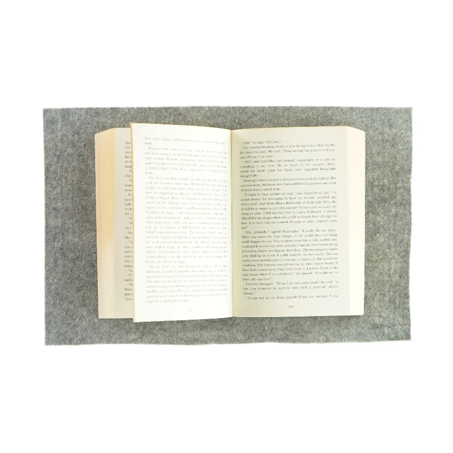 Jonathan Strange & Mr. Norrell af Susanna Clarke (Bog)