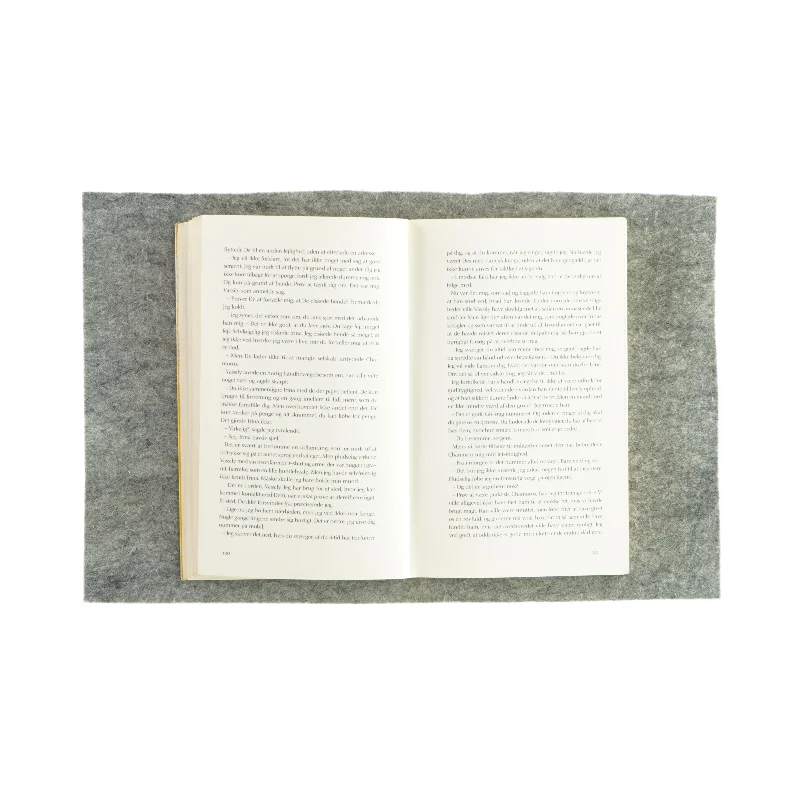 Den utålmodige alkymist af Lorenzo Silva (Bog)