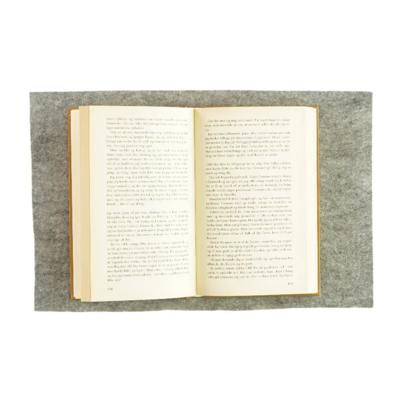 Morgendagens sidste lys af Michael Porcel (bog)