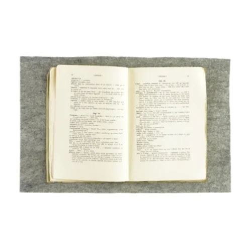 Gloser og forklaringer til Ciceros brevveksling, monumentum ancyranum, caesar I, ovid af L. Hoeg Lektor (Bog)