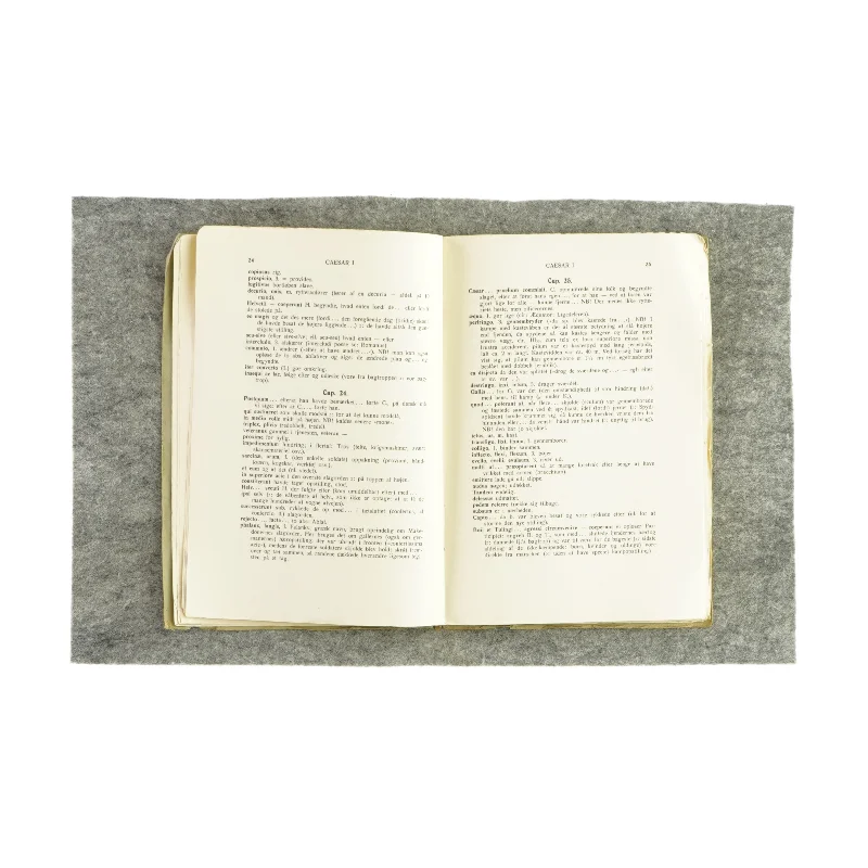 Gloser og forklaringer til Ciceros brevveksling, monumentum ancyranum, caesar I, ovid af L. Hoeg Lektor (Bog)