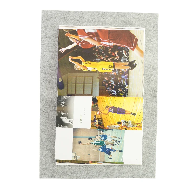 Basketfrälsta - Hoop Devotees (Bog)