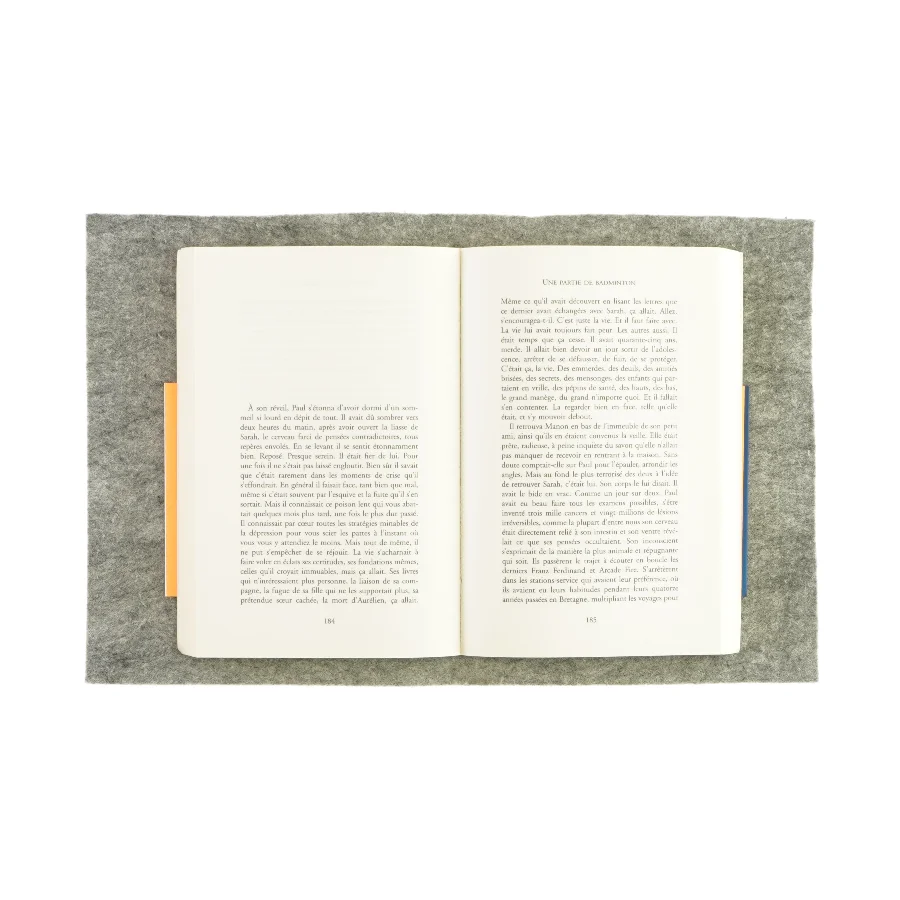 Flammarion af Olivier Adam (bog)