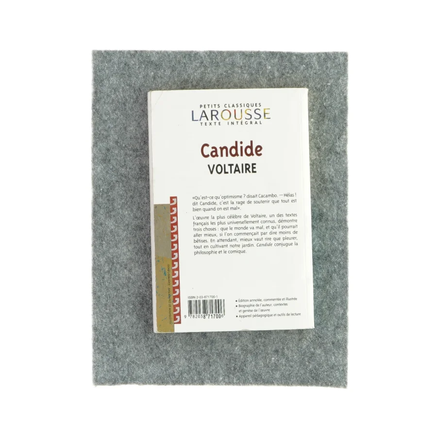 Candide Voltaire af Petits Classiques (Bog)