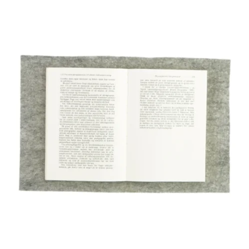 Erfaringspædagogikken, ved en skillevej (bog)