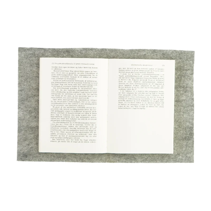 Erfaringspædagogikken, ved en skillevej (bog)