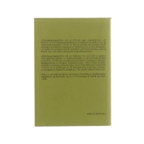 Erfaringspædagogikken, ved en skillevej (bog)