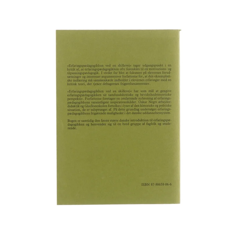 Erfaringspædagogikken, ved en skillevej (bog)