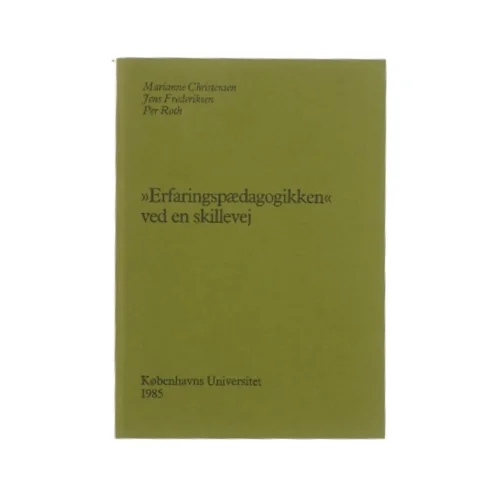 Erfaringspædagogikken, ved en skillevej (bog)