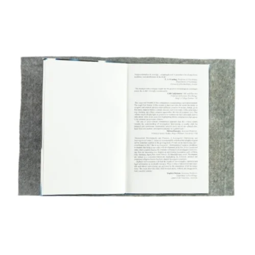 International developments and practices in investigative interviewing and interrogation af David Walsh, Gavin E. Oxburgh, Allison D. Redlich and Trond Myklebust (Bog)(Engelsk)