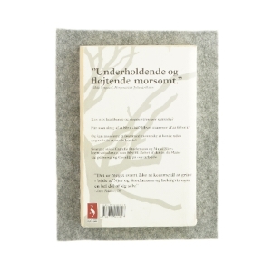 Michael Laudrups tænder - En korrespondance af Camilla Stockmann og Maise Njor (Bog)