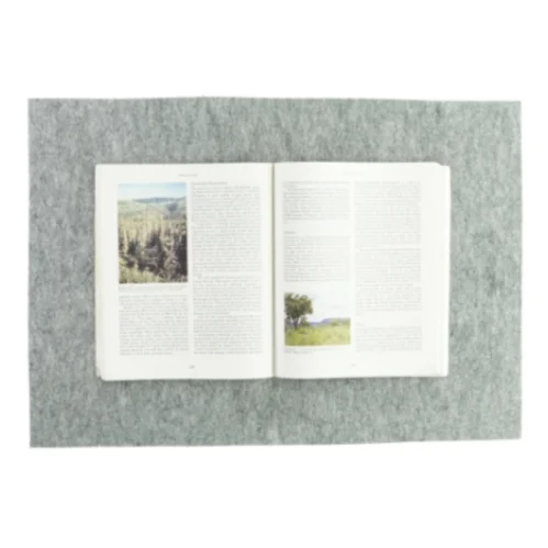 Essentials of physical geography af Ralph C. Scott (bog)