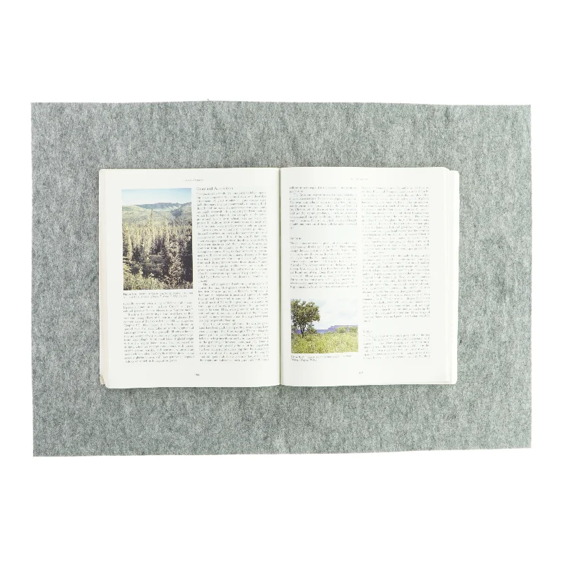 Essentials of physical geography af Ralph C. Scott (bog)