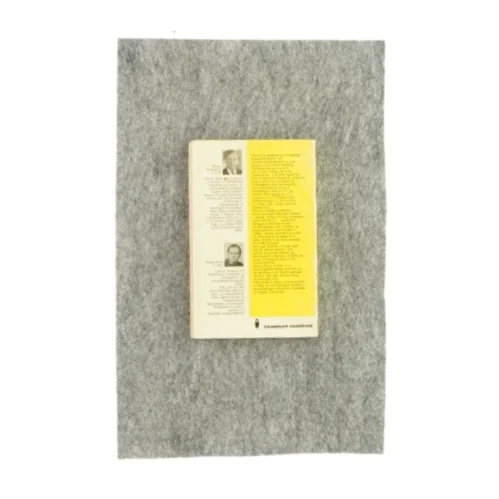 Social rang og mobilitet (bog)