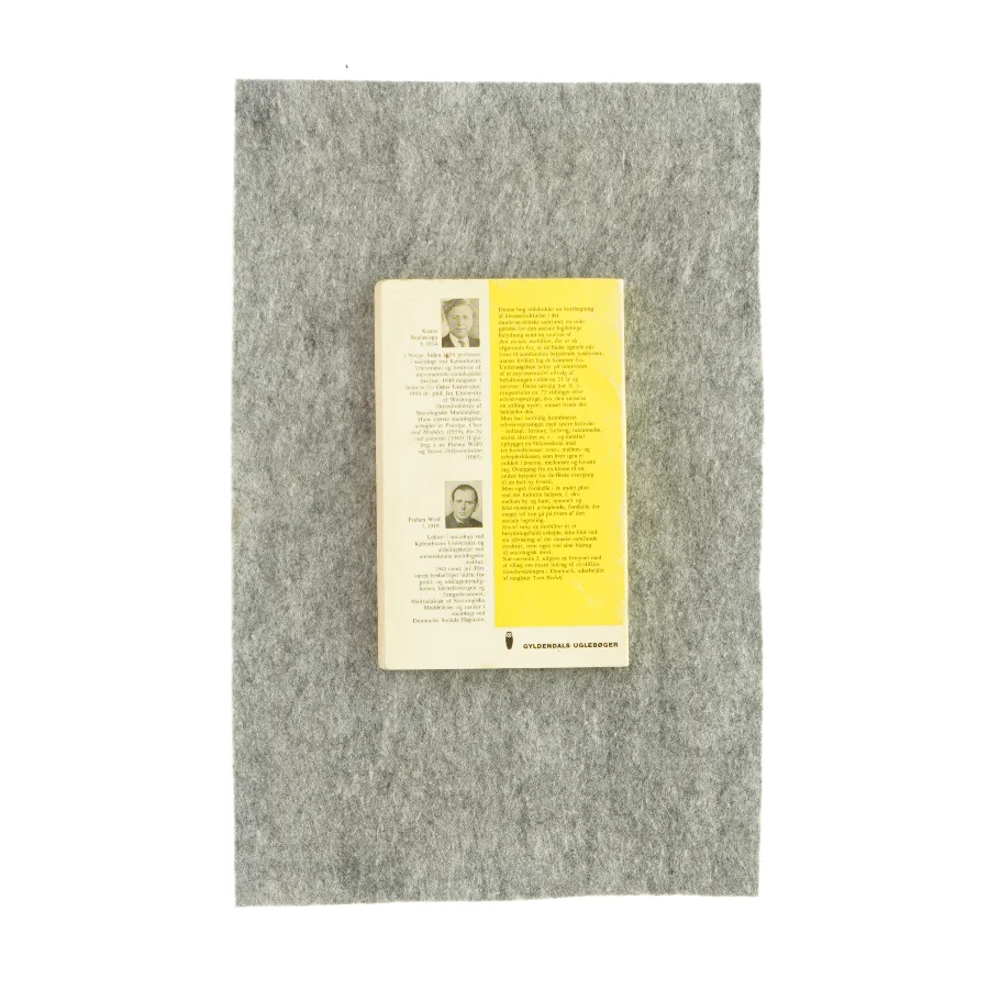 Social rang og mobilitet (bog)