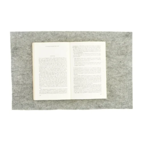 Social rang og mobilitet (bog)