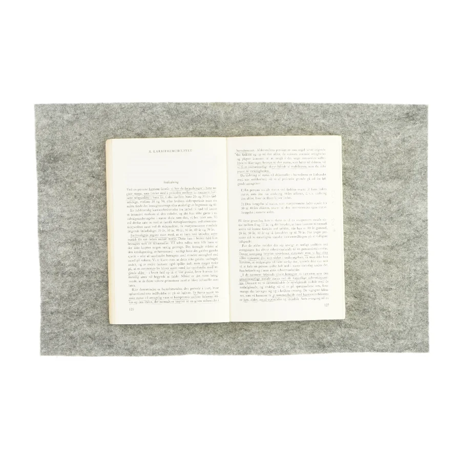 Social rang og mobilitet (bog)