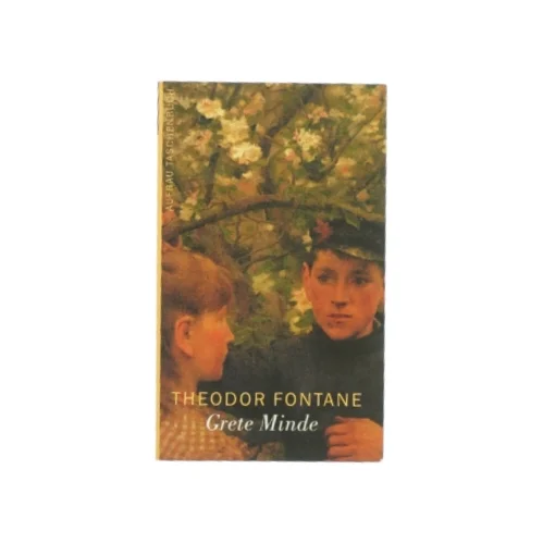 Theodor Fontane af Grete Minde (bog) 