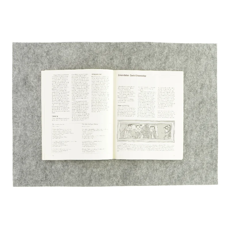 At slå rødder i solen af Rose Marie Tillisch (bog)