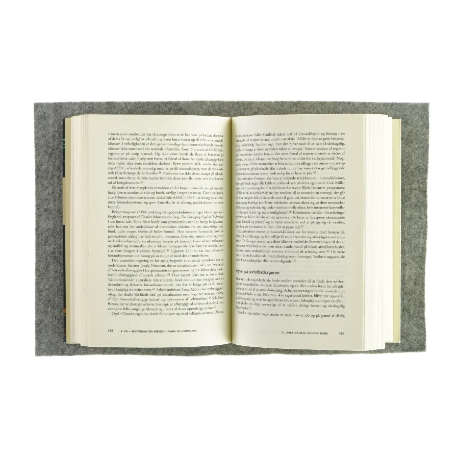 Arbejdsmoral til salg af Sharon Beder (Bog)