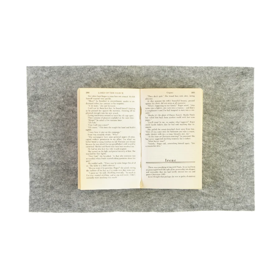 Lord of the dance af Andrew M. Greeley (bog) 