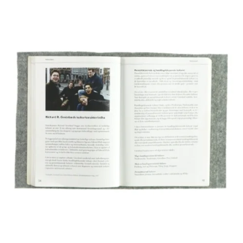 Det kulturelle møde (bog)