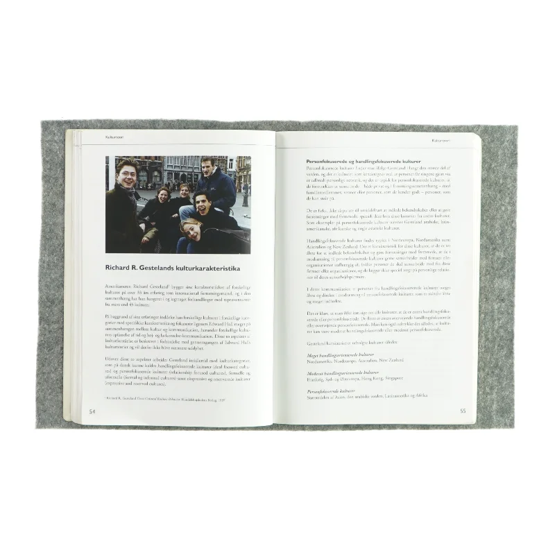 Det kulturelle møde (bog)