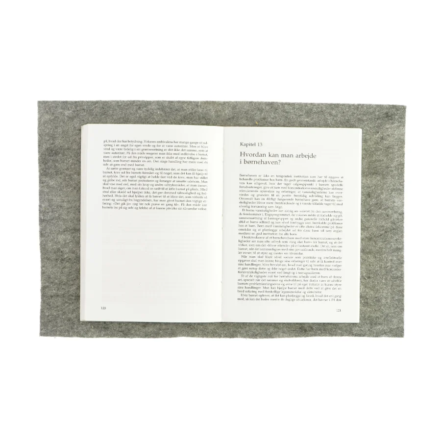 Børn med koncentrationsvanskeligheder (bog)