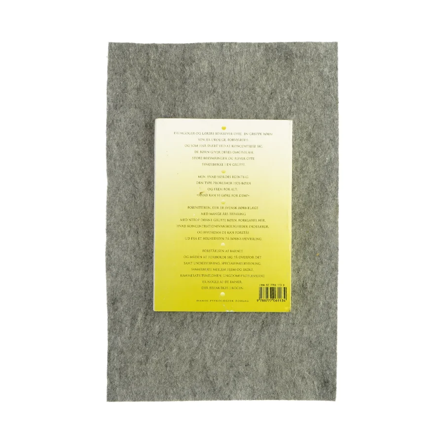 Børn med koncentrationsvanskeligheder (bog)