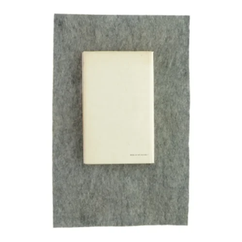 En fugl foruden vinger af Charlotte Strandgaard (bog)