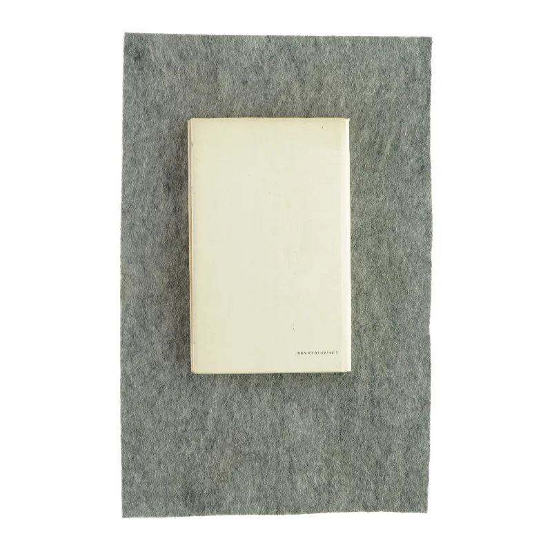 En fugl foruden vinger af Charlotte Strandgaard (bog)