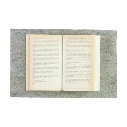 En fugl foruden vinger af Charlotte Strandgaard (bog)