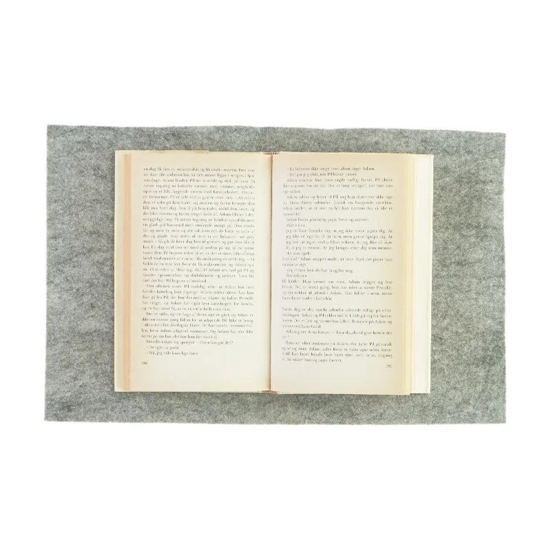 En fugl foruden vinger af Charlotte Strandgaard (bog)