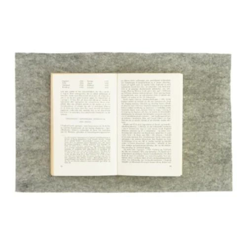 Den økonomiske udviklingsfase (bog)