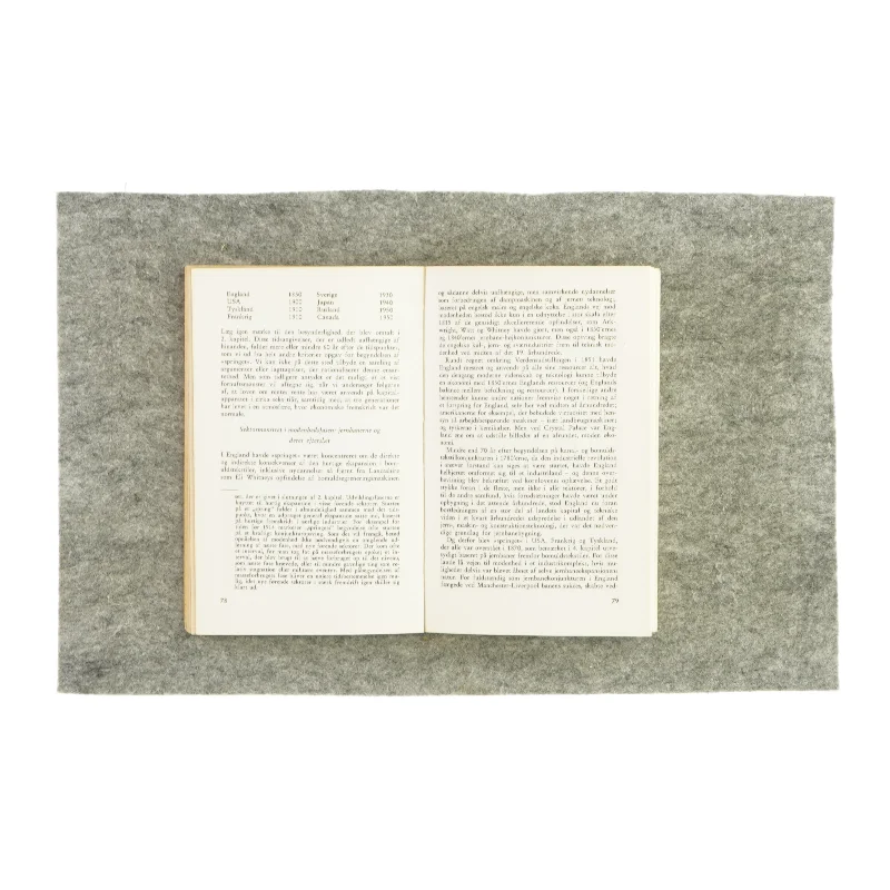 Den økonomiske udviklingsfase (bog)