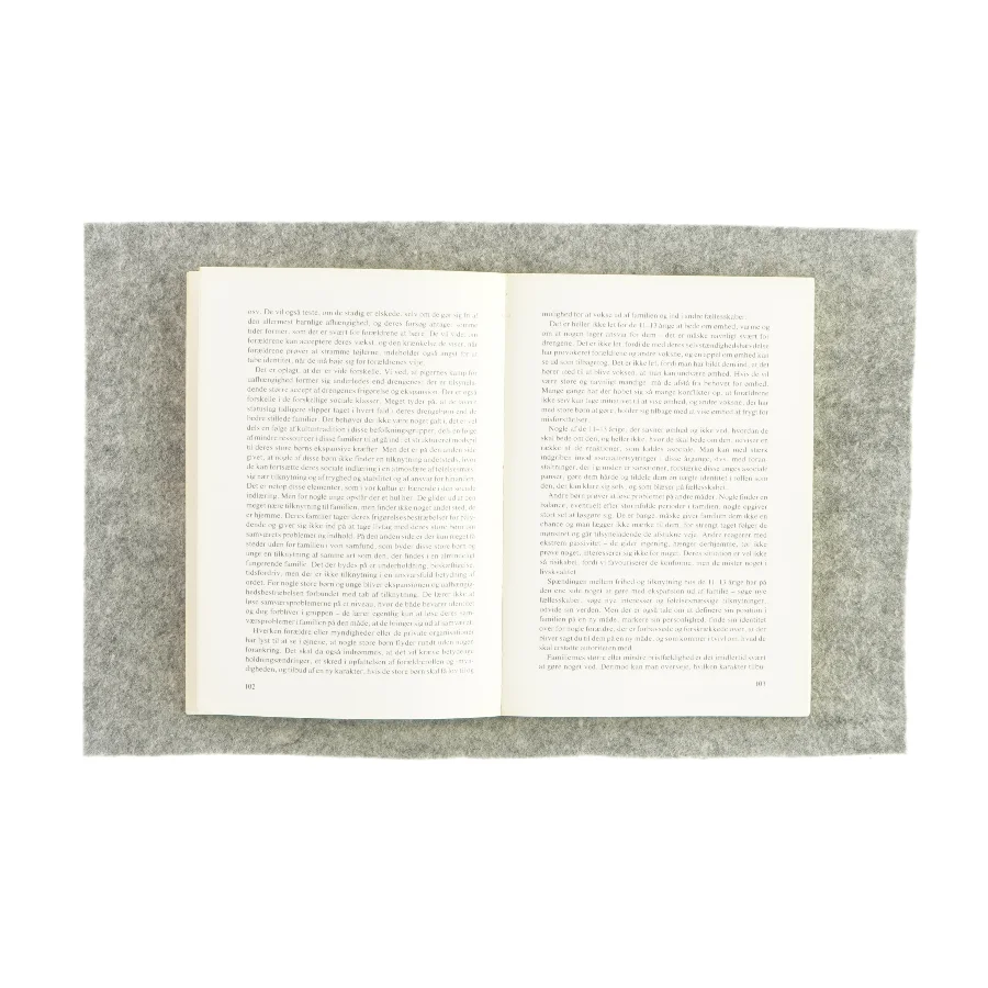 Fritidspædagogik (bog)